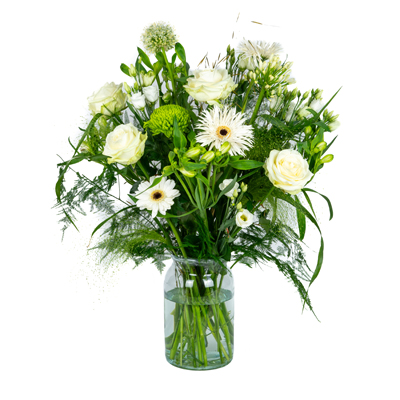 product_170127028665 Product 170127028665