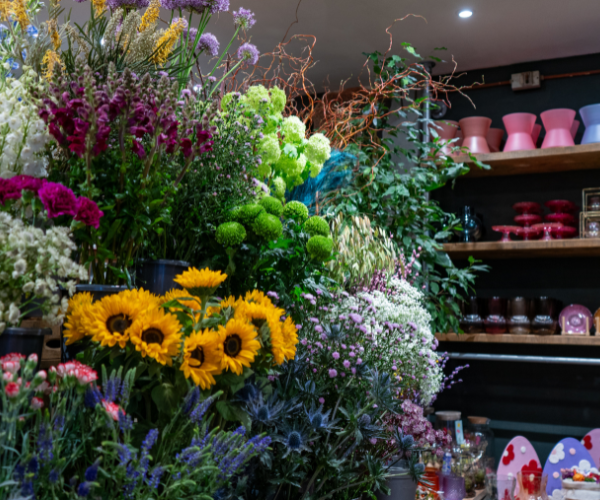 Bloei enzo bloemen
