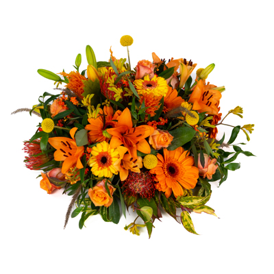 Biedermeier Zinnia