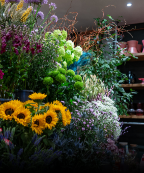 Bloemen