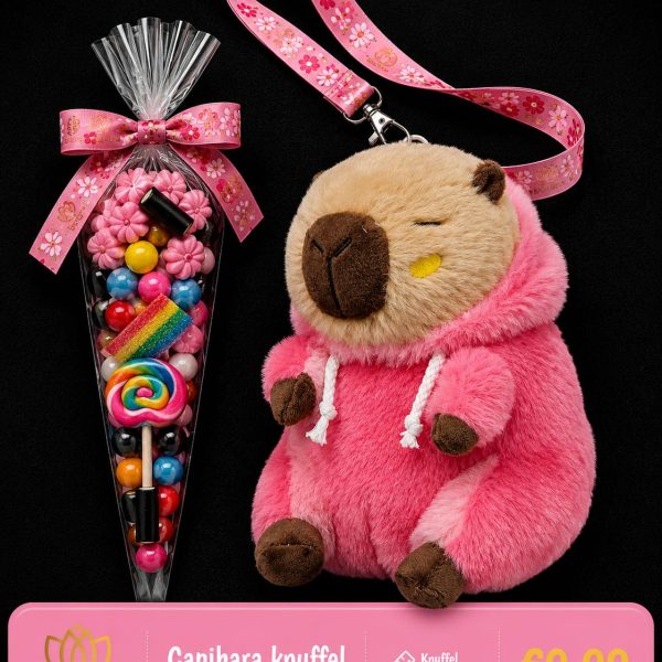 Capibara knuffel roze met puntzak snoep