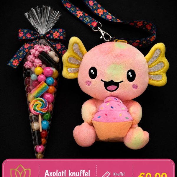 Axolotl knuffel roze met puntzak snoep