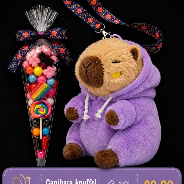 Capibara knuffel paars met puntzak snoep